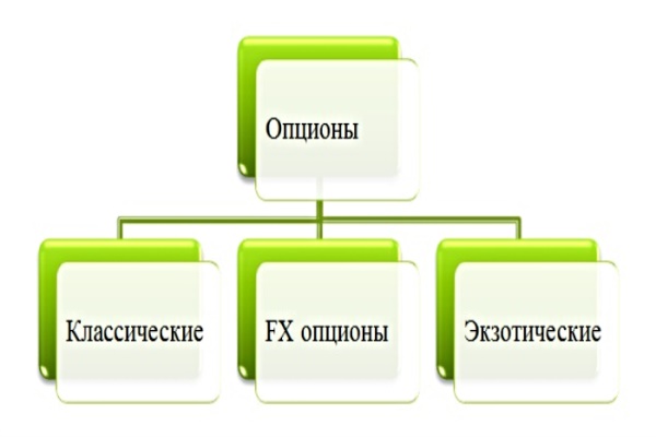 купить в спб обувь экко